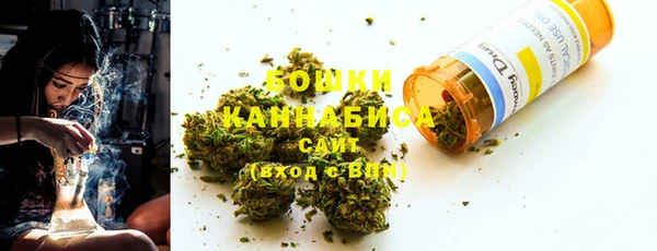 амф Арсеньев