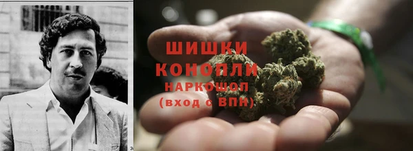 амф Арсеньев