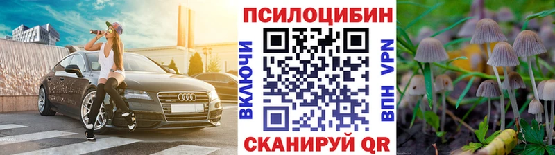 Галлюциногенные грибы Magic Shrooms  Починок 