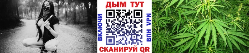 Конопля сатива Починок